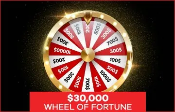 Everygame_WheelOfFortuneV2